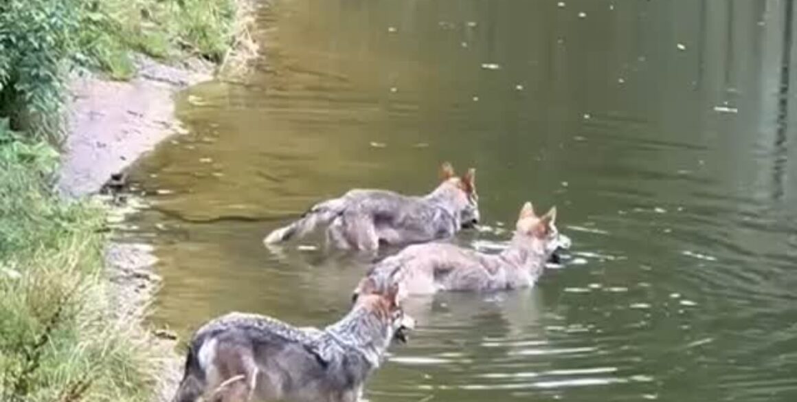 523521302_752293427203852_6916385659760008537_n