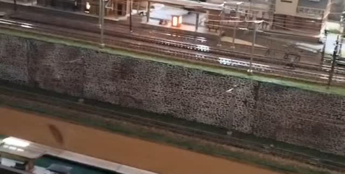 528031317_1342567757231081_5877632322704580430_n