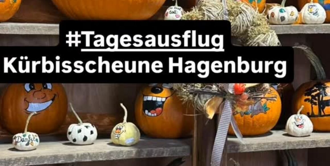 565519364_1536040931030145_5100639577026911344_n