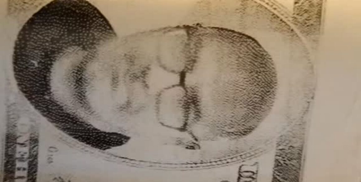 569187332_2879917518871604_2773823457716275284_n